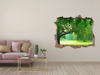 Autocolant de perete gaură 3D Parc verde la soare