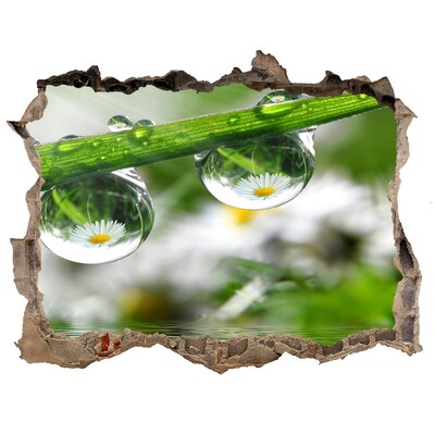 Autocolant de perete gaură 3D Oază florală cu picături de apă