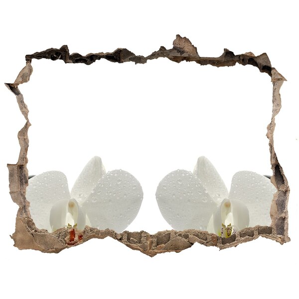 Autocolant gaură 3D Flori în beton