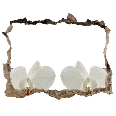 Autocolant gaură 3D Flori în beton