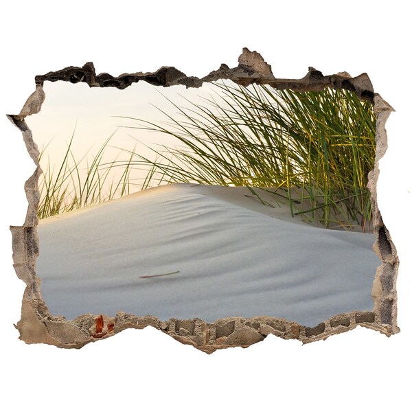 Autocolant 3D gaura cu priveliște Dună în lumina apusului