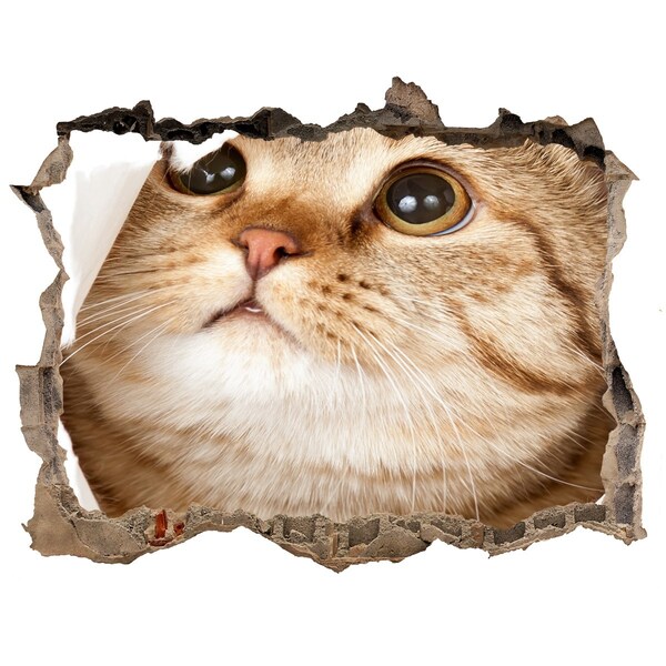 Autocolant autoadeziv gaură Pisică într-o gaură în perete