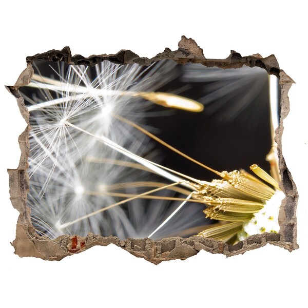 Autocolant de perete gaură 3D Visul florilor printr-o gaură în perete