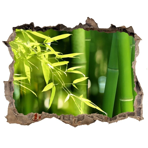 Fototapet 3D gaură în perete Pădure verde de bambus