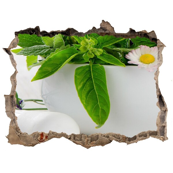 Autocolant gaură 3D Vegetație verde în peretele deteriorat