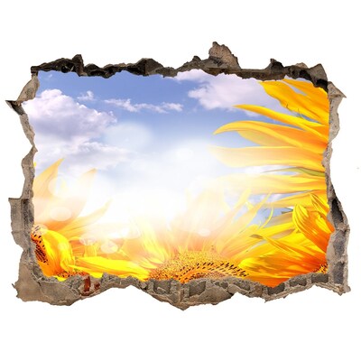 Autocolant autoadeziv gaură Floarea-soarelui în lumina soarelui