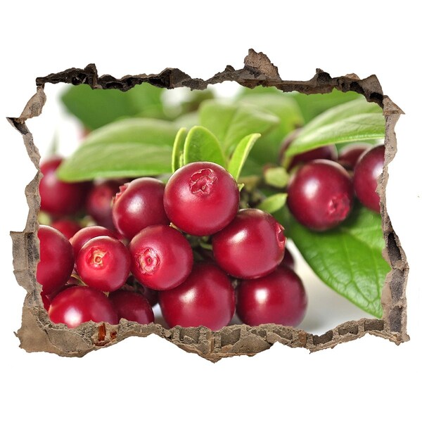 Autocolant de perete gaură 3D Gaură fructată în perete