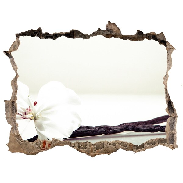 Fototapet 3D gaură în perete Vedere florală prin perete