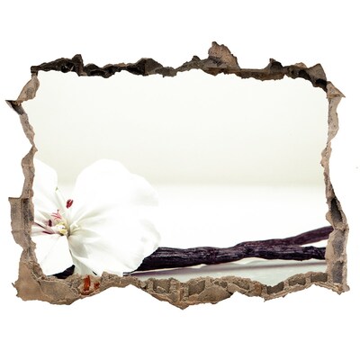 Fototapet 3D gaură în perete Vedere florală prin perete