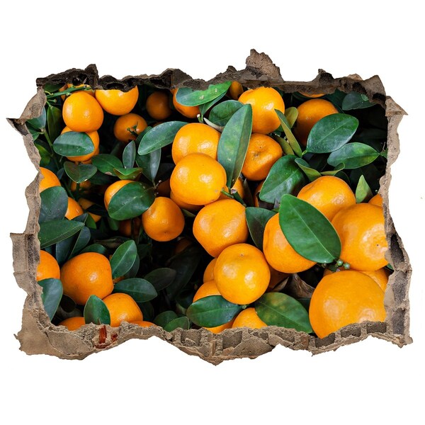 Autocolant 3D gaura cu priveliște Fructe în grădina de portocali