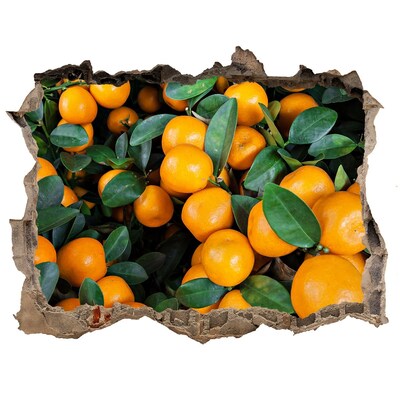 Autocolant 3D gaura cu priveliște Fructe în grădina de portocali