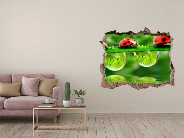 Autocolant autoadeziv gaură O picătură de natură cu o buburuză