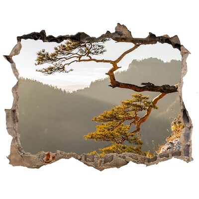 Fototapet 3D gaură în perete Pieniny sokolica