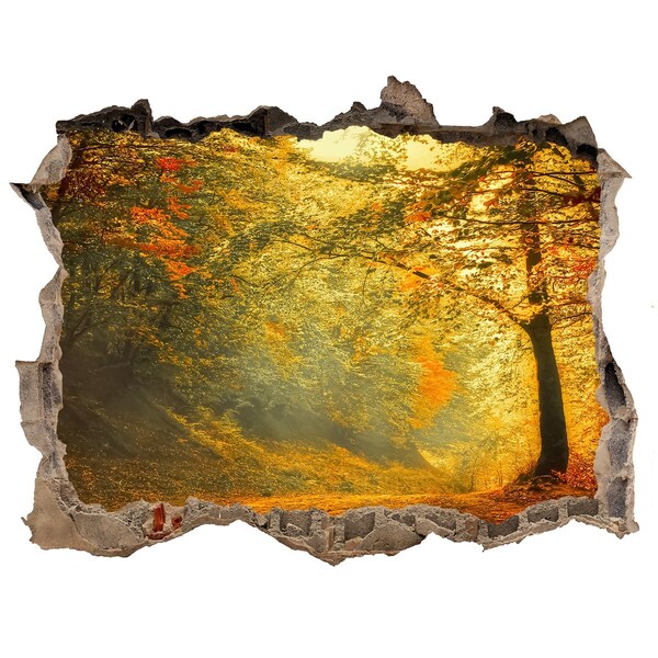 Fototapet 3D gaură în perete Pădure în toamna