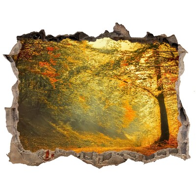Fototapet 3D gaură în perete Pădure în toamna