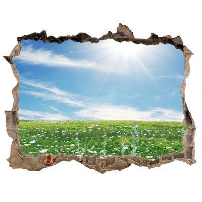 Fototapet 3D gaură în perete O pajiște cu flori sub un cer albastru