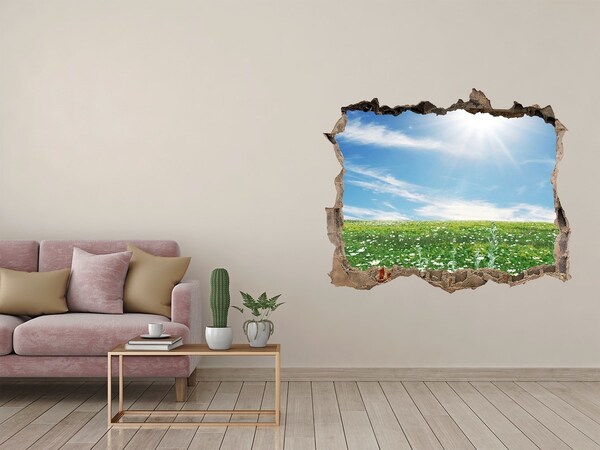 Fototapet 3D gaură în perete Luncă