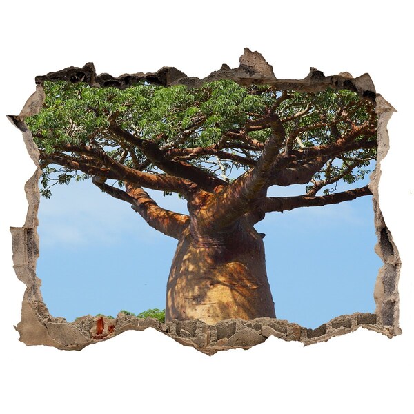 Autocolant gaură 3D Baobab într-o gaură în perete