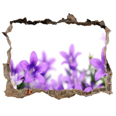 Autocolant 3D gaura cu priveliște Clopote violet