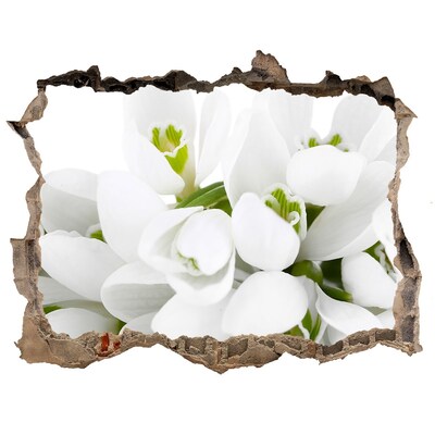 Fototapet 3D gaură în perete Ghiocei