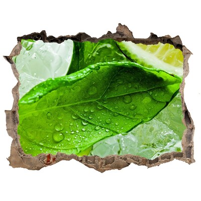 Fototapet un zid spart cu priveliște Frunze proaspete de mentă pe gheață