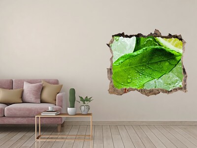 Fototapet un zid spart cu priveliște Lime de gheață
