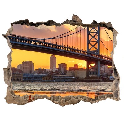Fototapet 3D gaură în perete Podul philadelphia