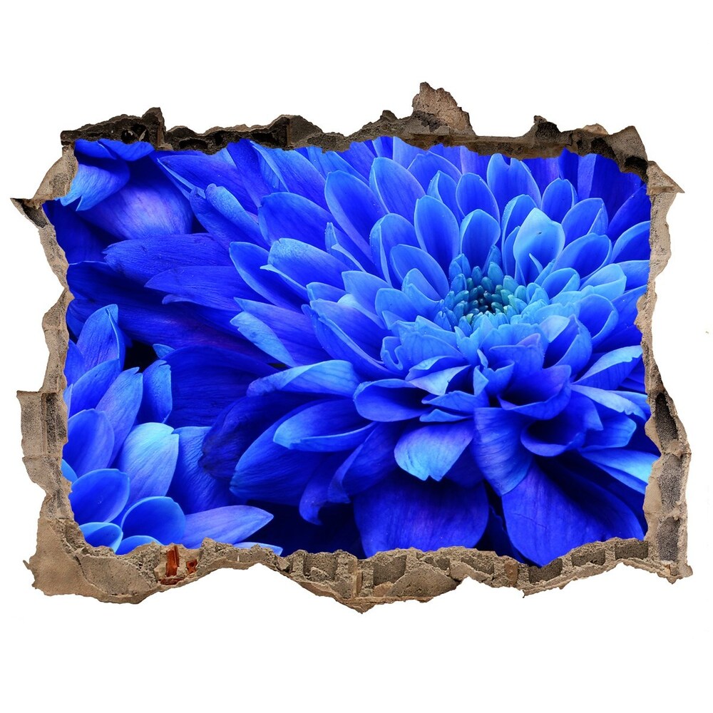 Autocolant de perete gaură 3D Aster albastru