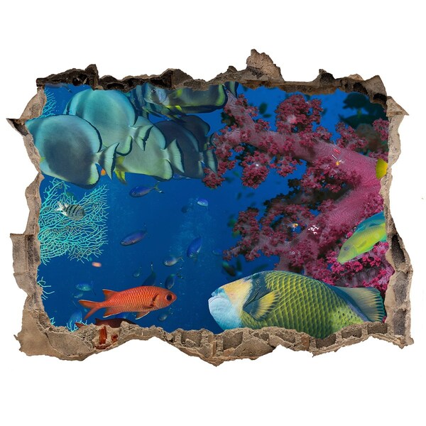 Fototapet 3D gaură în perete Paradisul coralilor subacvatici