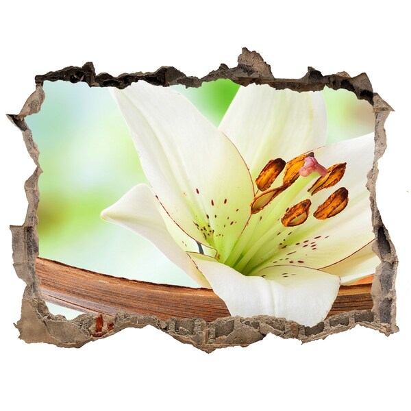 Autocolant 3D gaura cu priveliște O oază florală în beton