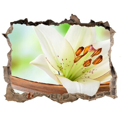 Autocolant 3D gaura cu priveliște O oază florală în beton