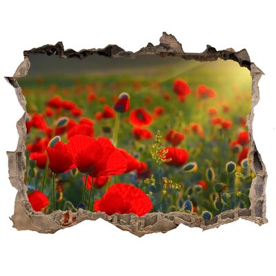 Fototapet 3D gaură în perete Un paradis floral cu o gaură în perete