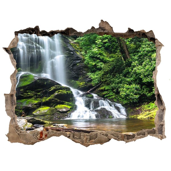 Fototapet 3D gaură în perete Cascada din pădure