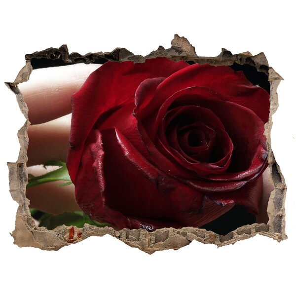 Autocolant gaură 3D Un trandafir într-un zid ruinat