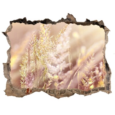 Fototapet 3D gaură în perete Pajiște cu flori în spatele zidului