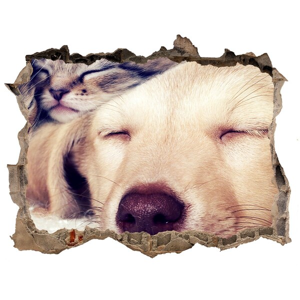 Autocolant de perete gaură 3D Câine drăguț într-o gaură în perete