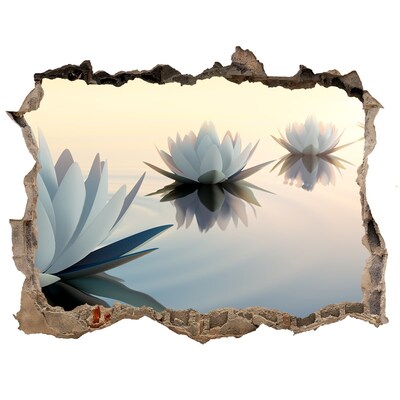 Autocolant gaură 3D Flori de lotus