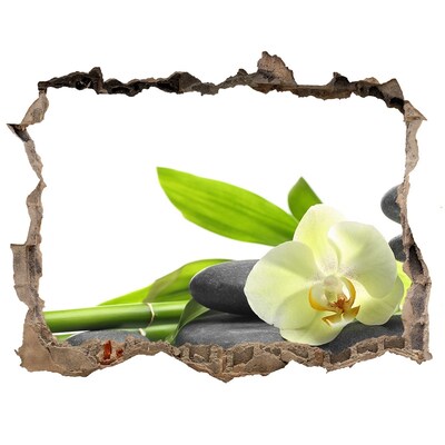 Fototapet un zid spart cu priveliște Colț de spa relaxant