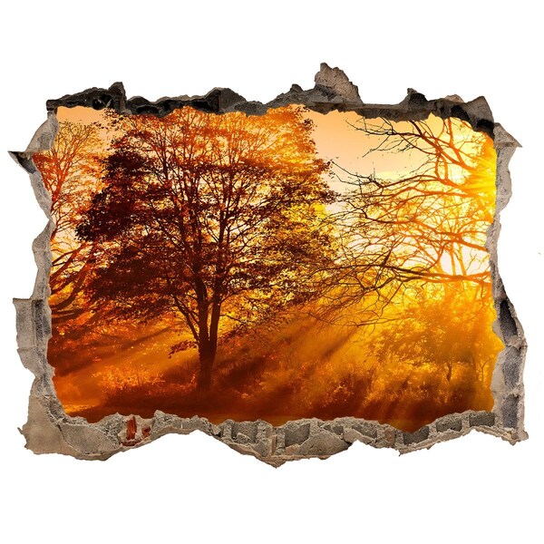 Autocolant gaură 3D Raze aurii de soare în pădure