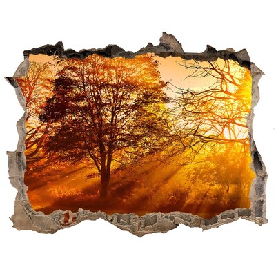 Autocolant gaură 3D Raze aurii de soare în pădure