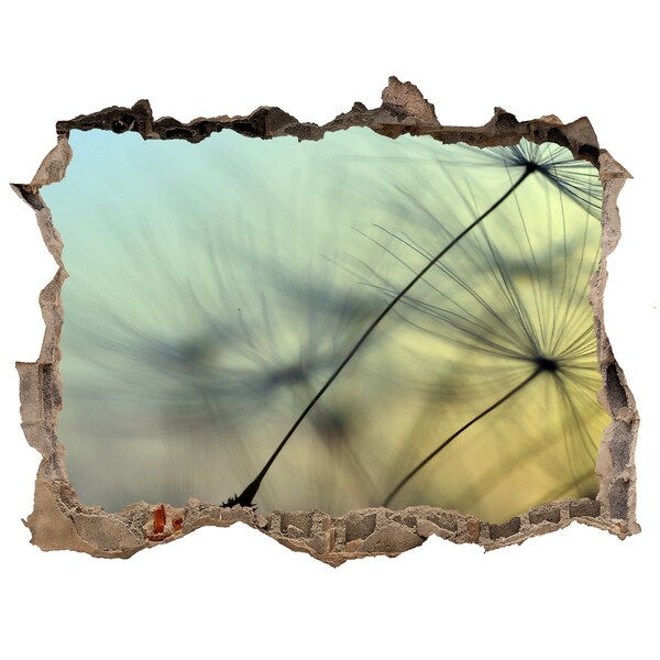 Autocolant 3D gaura cu priveliște Visul păpădiei