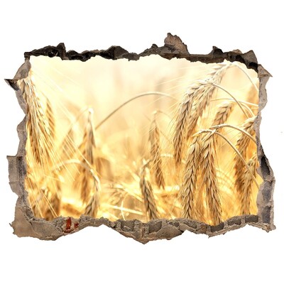 Fototapet 3D gaură în perete Câmpuri de grâu aurii