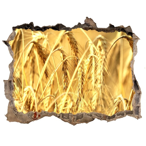 Fototapet un zid spart cu priveliște Boabe aurii în lumina soarelui