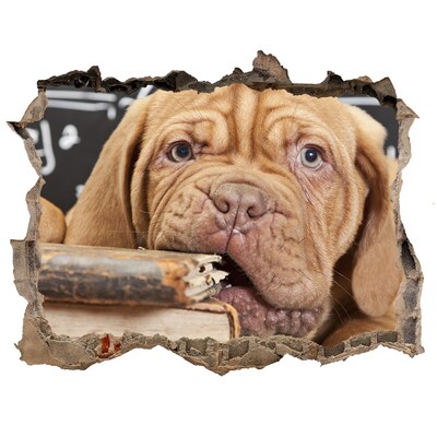 Autocolant un zid spart cu priveliște Un cățeluș dulce printre cărți