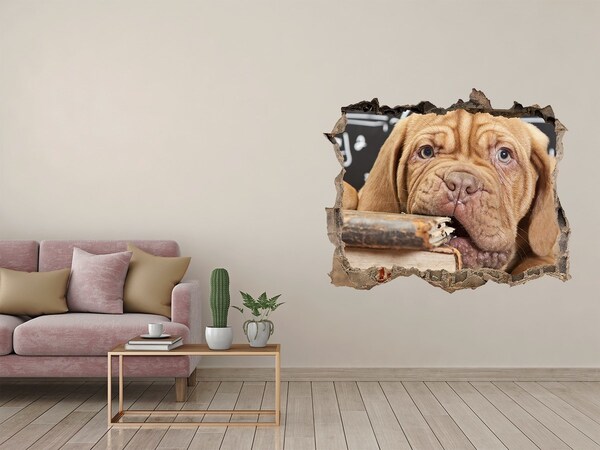 Autocolant un zid spart cu priveliște Un cățeluș dulce printre cărți