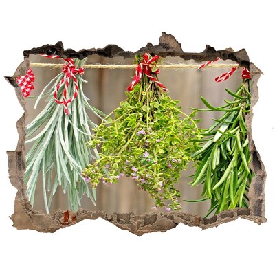 Fototapet 3D gaură în perete Grădina de plante aromatice în ruine