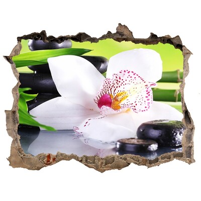 Autocolant 3D gaura cu priveliște O oază florală de pace