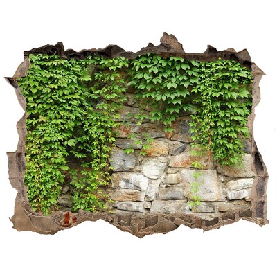 Autocolant un zid spart cu priveliște Iederă verde