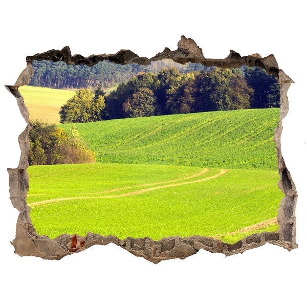Autocolant un zid spart cu priveliște Pajiște verde în spatele zidului