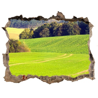 Autocolant un zid spart cu priveliște Pajiște verde în spatele zidului